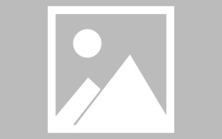 肇庆网页设计师周记（网页设计周记26篇300字）